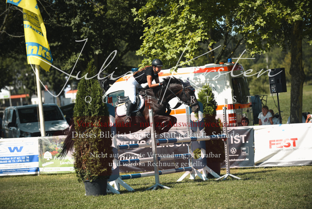 DSC_7067 | Pferde- und Turnierfotografie in Westsachsen. Pferdeportraits, Auftragszeichnungen und intuitive Kunst.