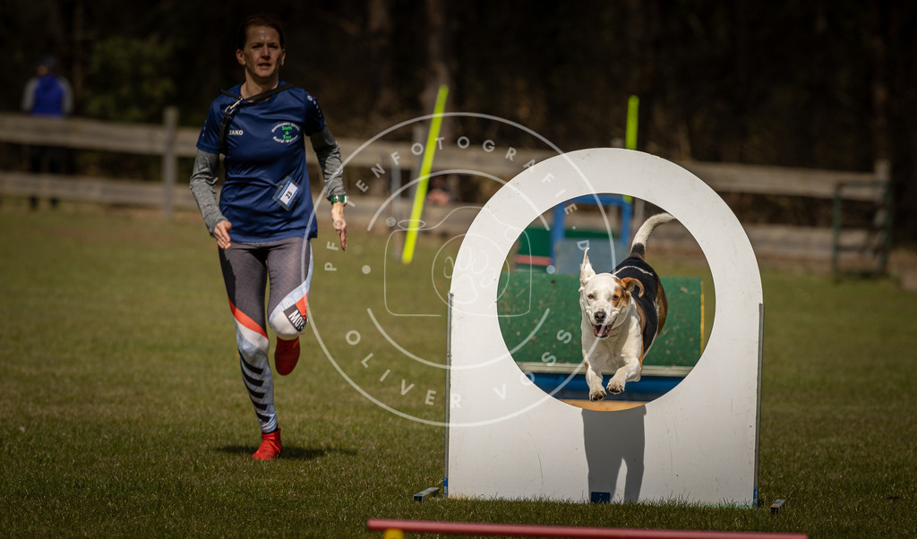 Pfotenfotografie_DV3A5393 | Hundefotografie, Tierfotograf, Pfotenfotografie, Fotoshooting Hund, Hunde Portrait, Hundesport, Hundeportraits, Heideshooting, Hunde, Sportfotograf, Hundefotograf, Turnierhundsport, THS,  - Realisiert mit Pictrs.com