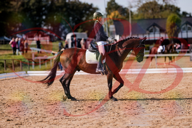 2026_10_03_Siefer-Hof_130220_Z81_56097750 | Professionelle Reitsport-, Turnier- und Eventfotografie von Robert Broda. Galerien mit ausgewählten und bearbeiteten Bildern direkt online ansehen und bestellen.