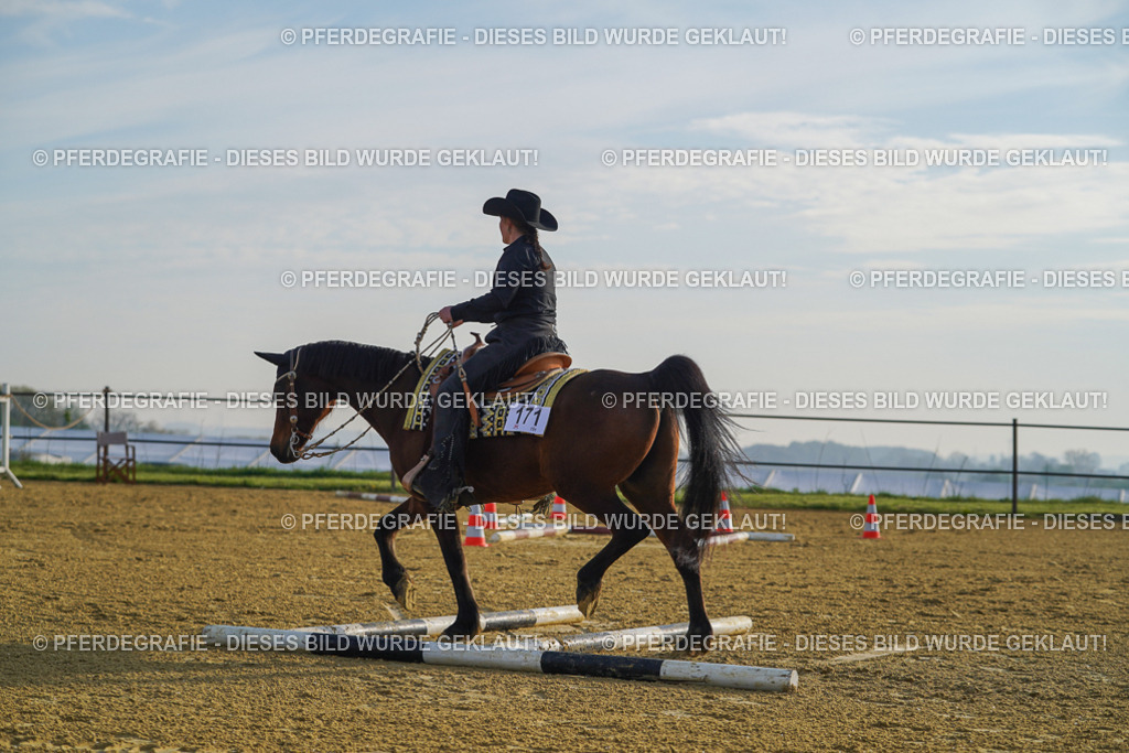 DSC00402 | Pferdegrafie