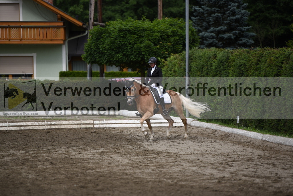 DSC_5074 | equestrian-live-com