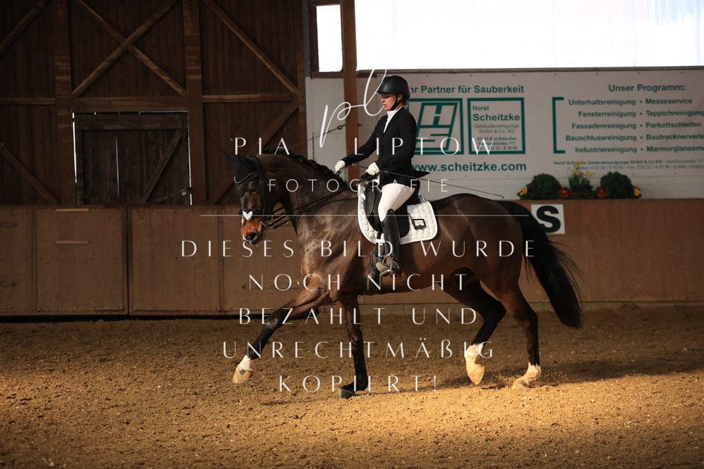 IMGT2234 | pl-fotografie