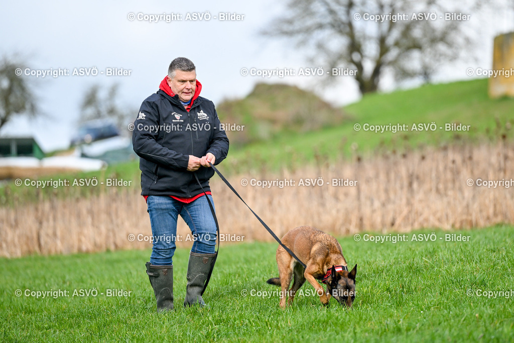 ASVÖ_ Tracking Dog World Championship 2025_ 31.03.2025-52 | 31.03.2025, AUT, ASVÖ, Tracking Dog World Championship // FCI IGP Fährtenhundeweltmeisterschaft 2025©fodo.media / Harald Dostal - Realisiert mit Pictrs.com