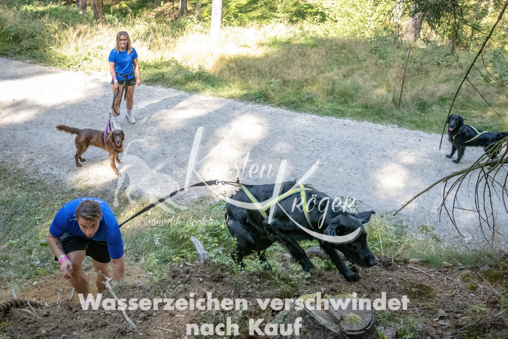 1216_ZZ93760 | kk-dogfotos