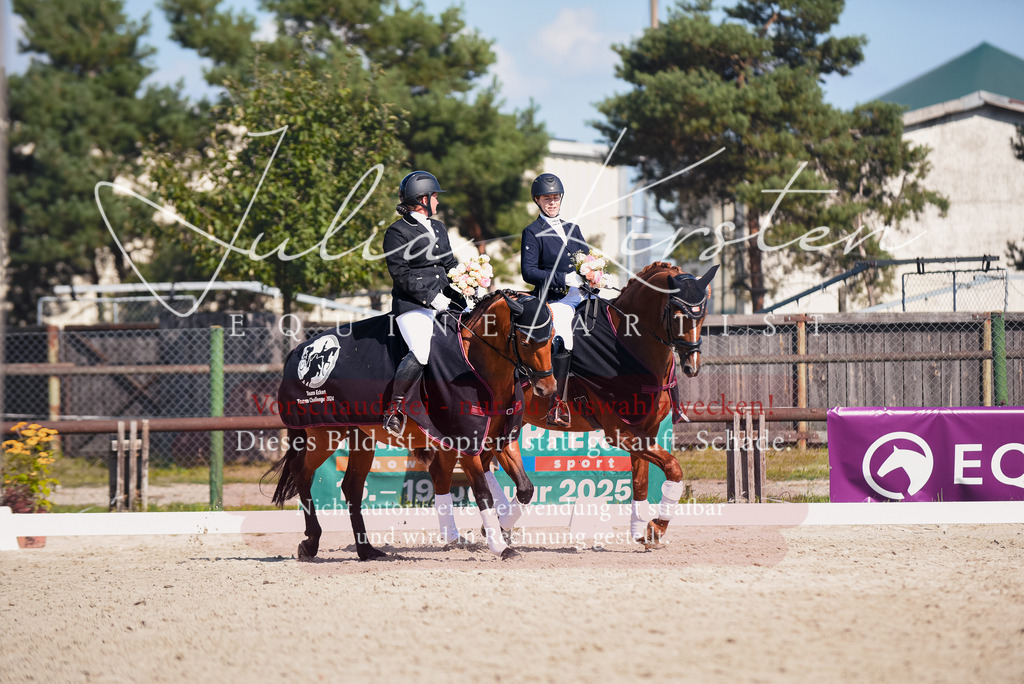 DSC_9816 | Pferde- und Turnierfotografie in Westsachsen. Pferdeportraits, Auftragszeichnungen und intuitive Kunst.