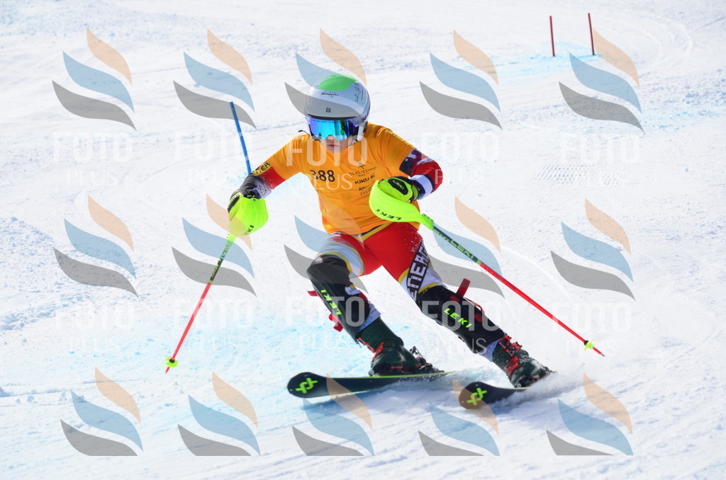 C8781 | holidayphoto