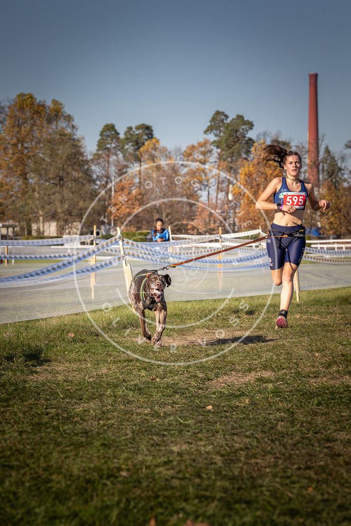 CaniXpix_0L8A8402 | Hundefotografie, Tierfotograf, Pfotenfotografie, Fotoshooting Hund, Hunde Portrait, Hundesport, Hundeportraits, Heideshooting, Hunde, Sportfotograf, Hundefotograf, Turnierhundsport, THS,  - Realisiert mit Pictrs.com