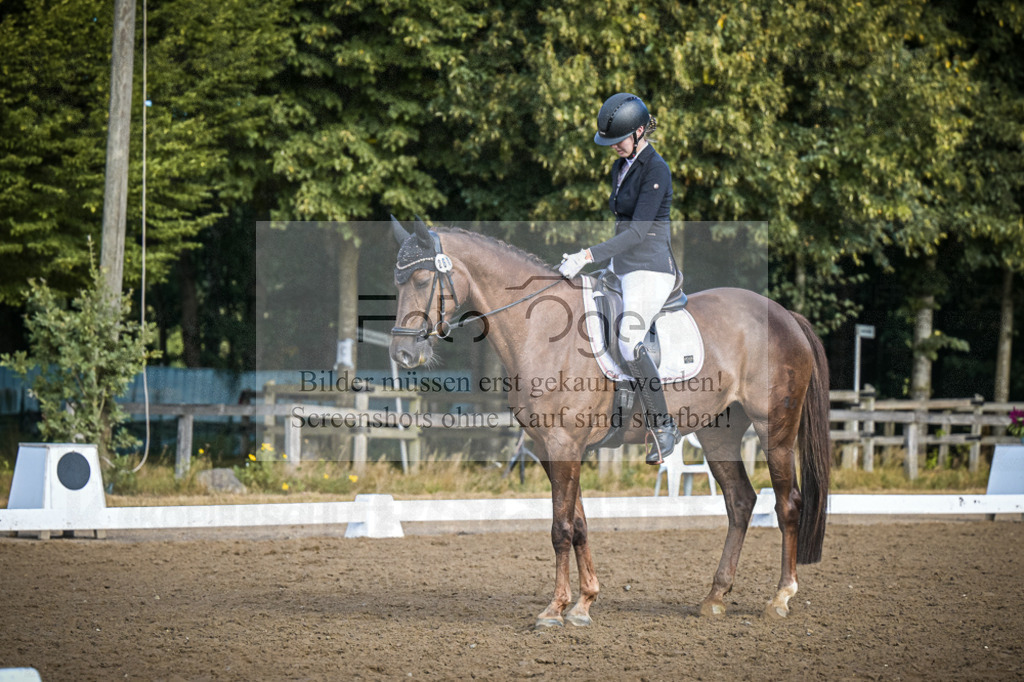 DOS_0319 | Entdecke hochwertige Reitturnierfotos von Foto Oger. Professionell, emotional und authentisch – jetzt Lieblingsmomente im Shop bestellen.Deutschlandweite Turnierfotografie. - Realisiert mit Pictrs.com