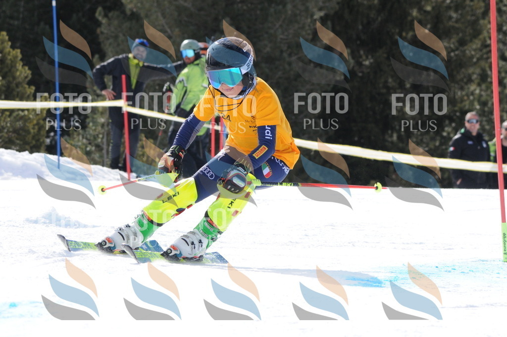 C7456 | holidayphoto