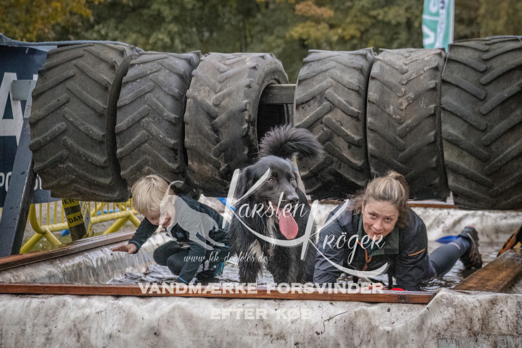 1656_ZZ94451 | kk-dogfotos