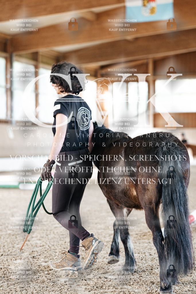 CK905180 | Turnierfotografie Pferdefotografie Trier Rheinland-Pfalz Pferdesport Reitsport Tierfotografie Sportfotografie Pferdevideo Pferdevideografie Equestrianvideography equestrianphotography  - Realisiert mit Pictrs.com