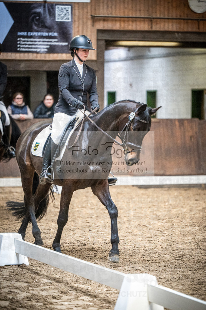 DOS_0666 | Entdecke hochwertige Reitturnierfotos von Foto Oger. Professionell, emotional und authentisch – jetzt Lieblingsmomente im Shop bestellen.Deutschlandweite Turnierfotografie. - Realisiert mit Pictrs.com