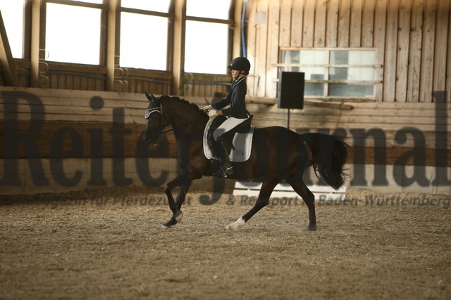 Sexau_2022_Prfg.Nr.16_Ponydressurreiterprüfung_Kl.A_Qualifikation LJC_Amelie Schill_Bijoux BEVS (11) | Alle Fotos der Reiterjournal Fotografin Doris Matthaes im Reiterjournal Online-Fotoshop. - Realizado com Pictrs.com