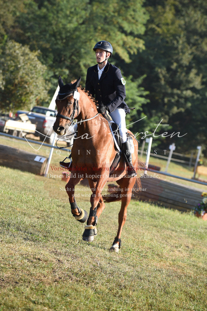 DSC_4968 | Pferde- und Turnierfotografie in Westsachsen. Pferdeportraits, Auftragszeichnungen und intuitive Kunst.