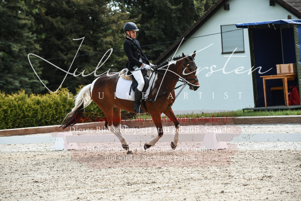 20230518_JK-Röhrsdorf-11-0167 | Pferde- und Turnierfotografie in Westsachsen. Pferdeportraits, Auftragszeichnungen und intuitive Kunst.