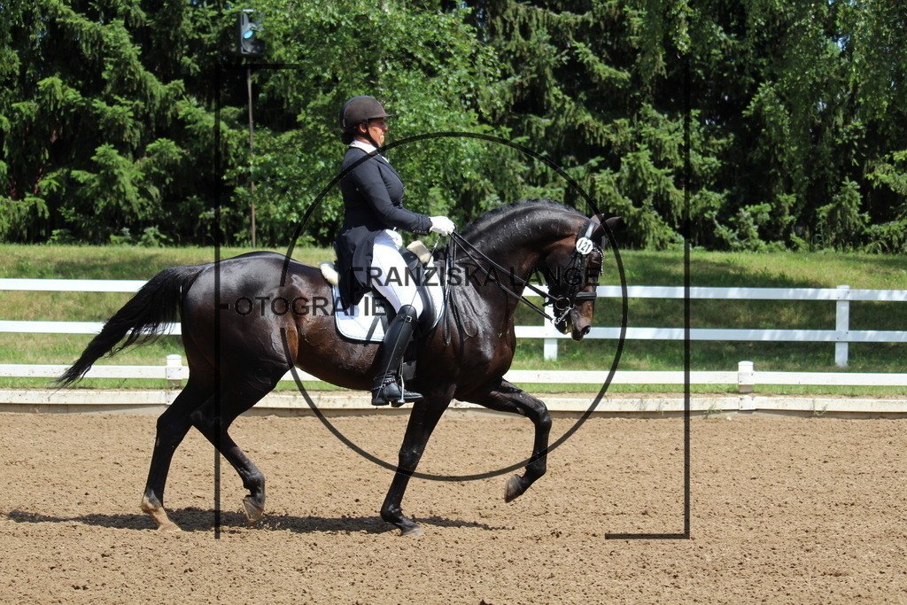 IMG_7569 | franziskalange - Realisiert mit Pictrs.com