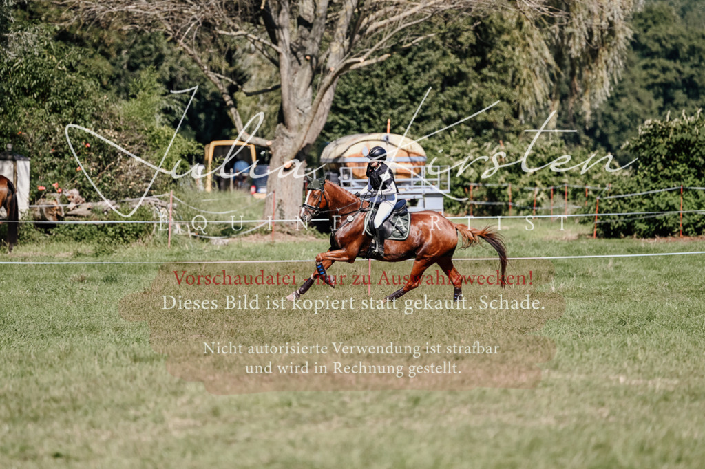 DSC_3161 | Pferde- und Turnierfotografie in Westsachsen. Pferdeportraits, Auftragszeichnungen und intuitive Kunst.