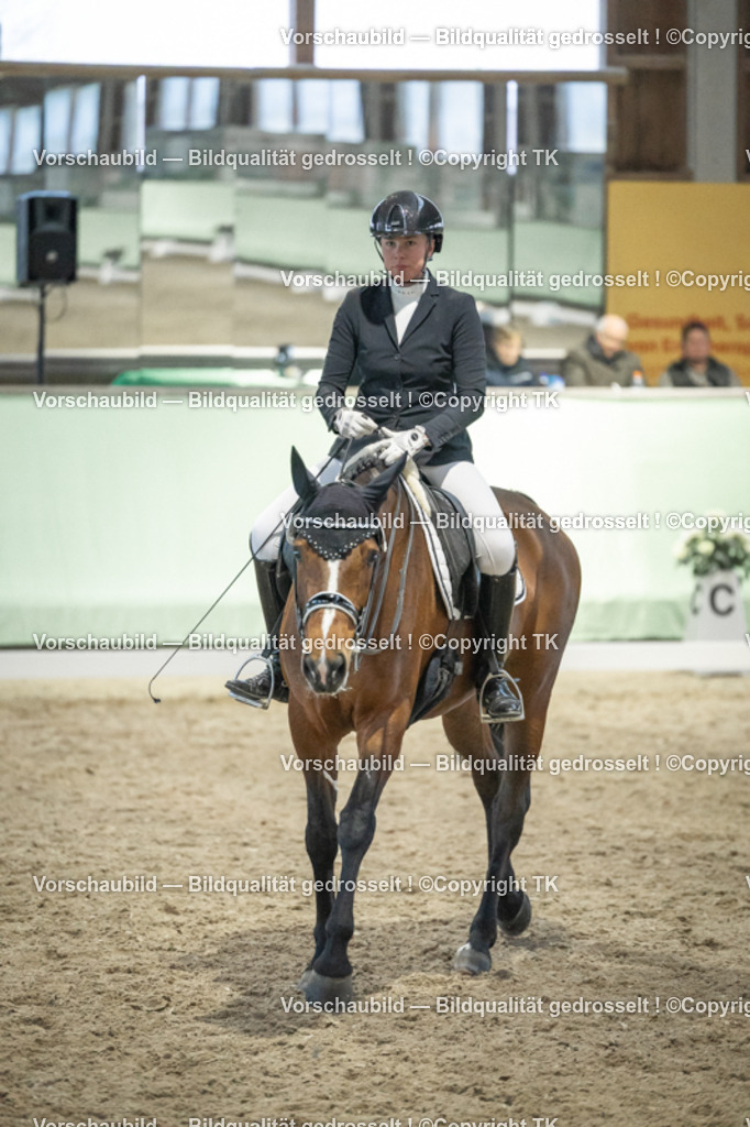 _D5A3721 | Emotionale Pferde- & People-Fotografie rund um Heidelberg, Leimen & Umgebung. Natürliche Fotos von Pferd, Mensch & Familie. Jetzt Termin sichern!