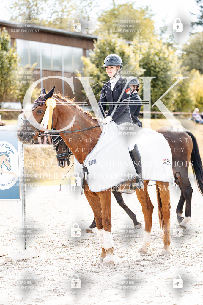 CK900966 | Turnierfotografie Pferdefotografie Trier Rheinland-Pfalz Pferdesport Reitsport Tierfotografie Sportfotografie Pferdevideo Pferdevideografie Equestrianvideography equestrianphotography  - Realisiert mit Pictrs.com