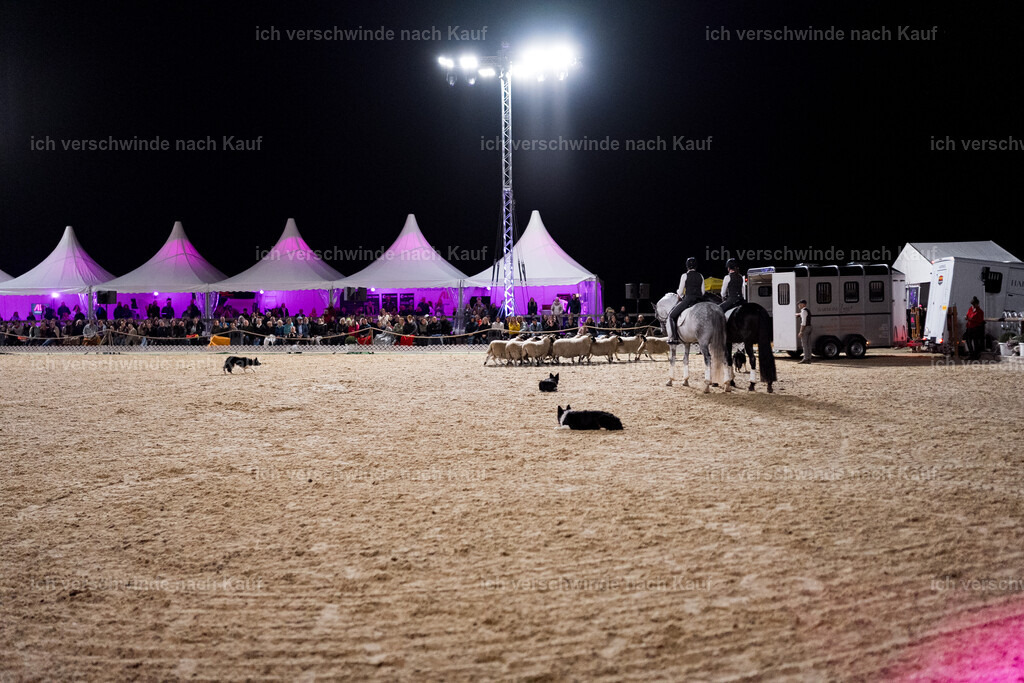 Gala-566 | working equitationturnier fotograf videograf stoibphotography marixx film working equitation deutschland reitsport turnierfotografie eventfotografie equestrian events