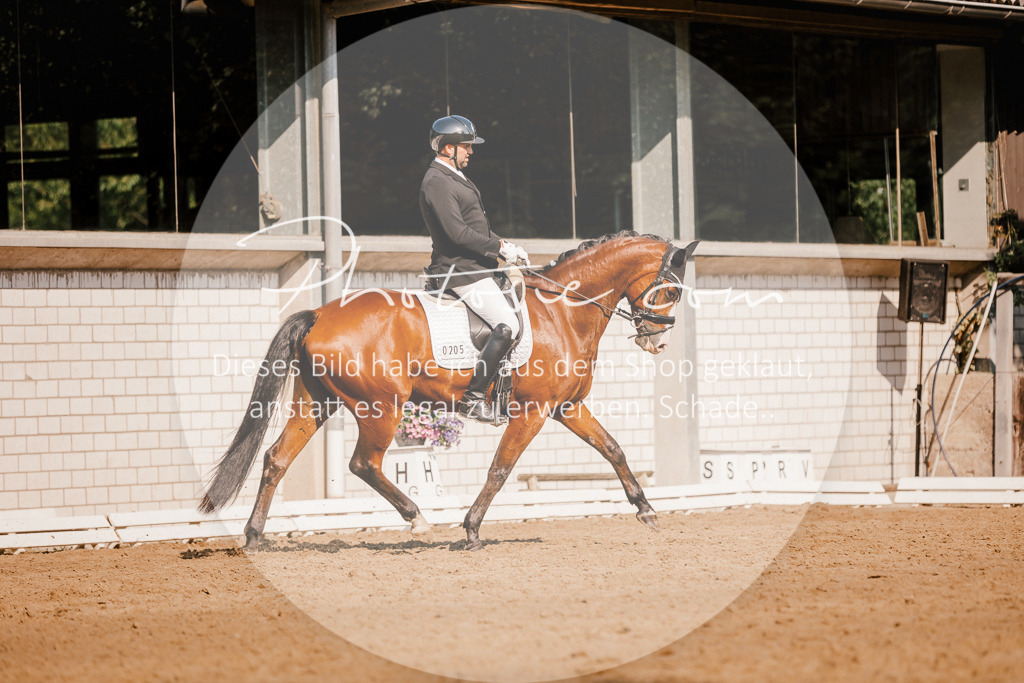 3I6A8927 | Stimmungsvolle Portraits und Reitsportfotografie im Ruhrgebiet und im Münsterland.

Pferdefotografie, Hundefotografie, Tierfotografie, Reportagen, Portraits von Tier und Mensch, Turnierfotografie in Bochum, Recklinghausen, Marl, Haltern am See, Dülmen.. - Realisiert mit Pictrs.com