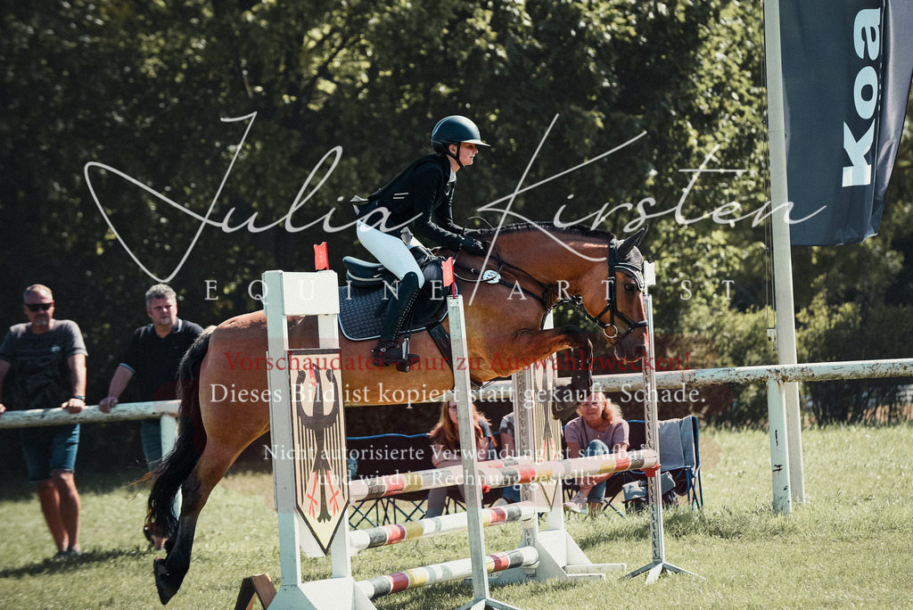 DSC_9249 | Pferde- und Turnierfotografie in Westsachsen. Pferdeportraits, Auftragszeichnungen und intuitive Kunst.