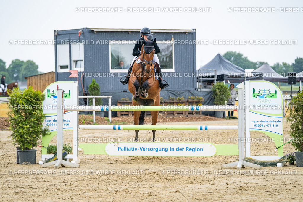 DSC08718 | Pferdegrafie