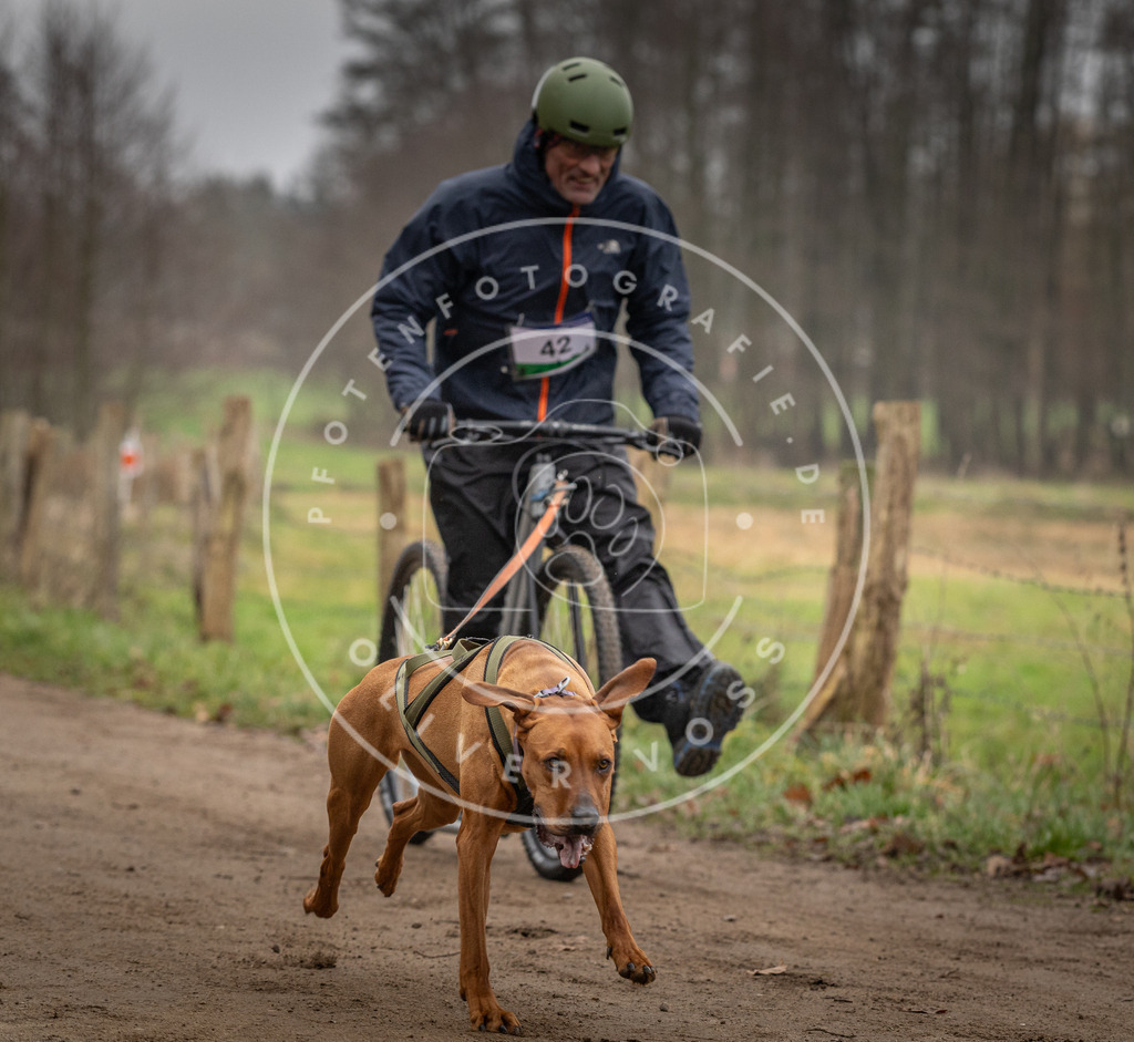 Pfotenfotografie_DV3A2631 | Hundefotografie, Tierfotograf, Pfotenfotografie, Fotoshooting Hund, Hunde Portrait, Hundesport, Hundeportraits, Heideshooting, Hunde, Sportfotograf, Hundefotograf, Turnierhundsport, THS,  - Realisiert mit Pictrs.com