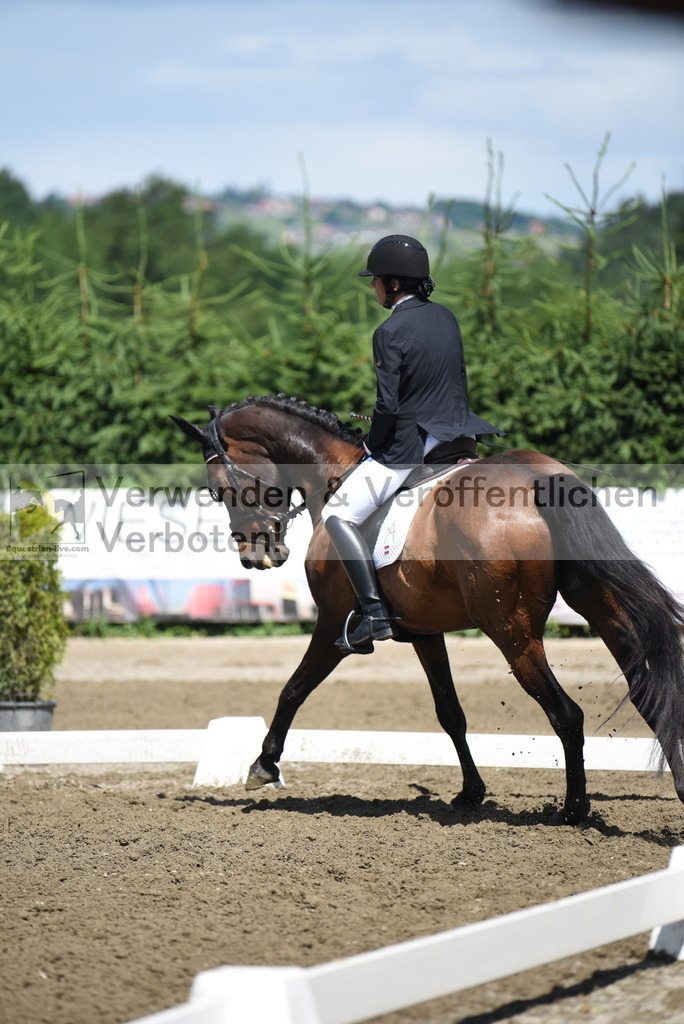 DSC_0126 | equestrian-live-com