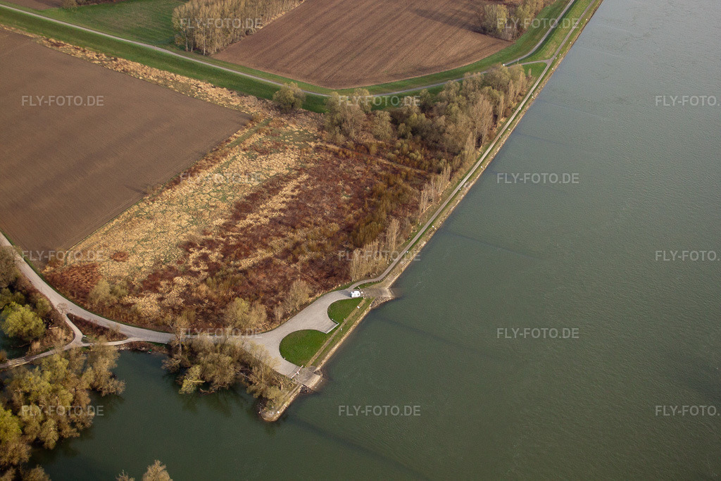Luftbild: Maximiliansau Altrheinufer im Ortsteil Maximiliansau in Wörth im Bundesland Rheinland-Pfalz in Deutschland. Foto: IMG_25465.jpg vom 02.04.2010 durch Werner Riehm/FLY-FOTO.de