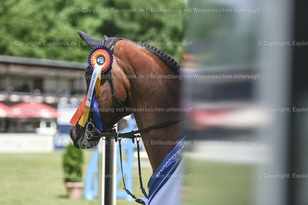 20230529_18_CSI4_Obermayr_0163 | equistock