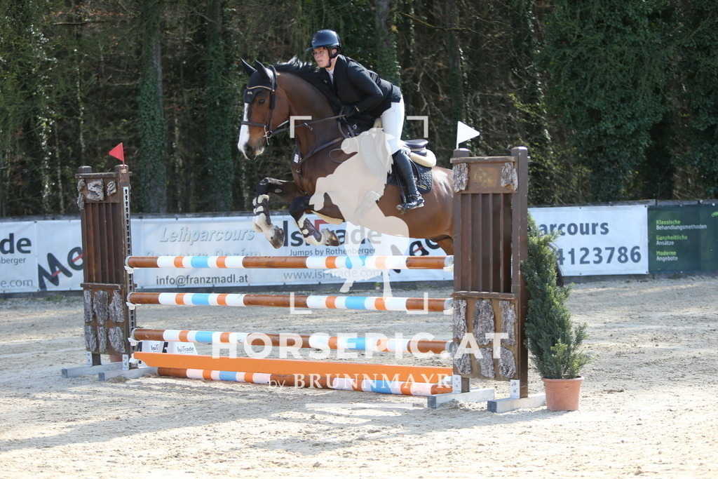 DL2Q2061 | Willkommen bei Brunnmayr - Design & Fotografie – Ihrem Spezialisten für Reitturniere und Pferdeveranstaltungen in Oberösterreich, Salzburg und Bayern! Seit über 17 Jahren sind wir leidenschaftlich dabei.