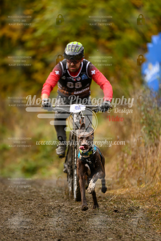 MompixPhotography_ICF_WC_2024_SA_Bike_-39 | PayLife