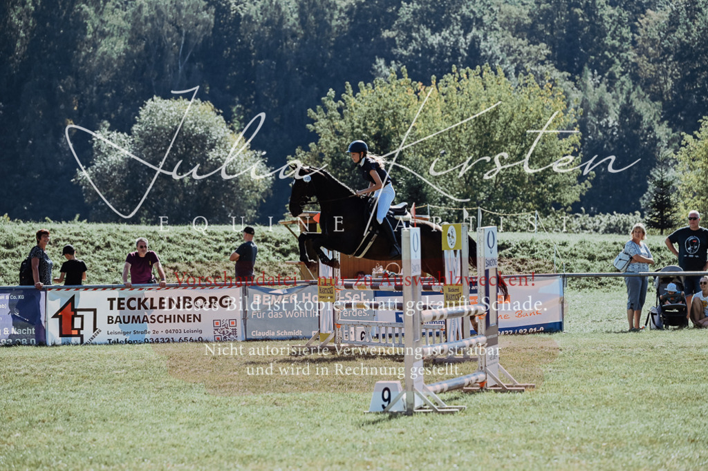 DSC_5922 | Pferde- und Turnierfotografie in Westsachsen. Pferdeportraits, Auftragszeichnungen und intuitive Kunst.