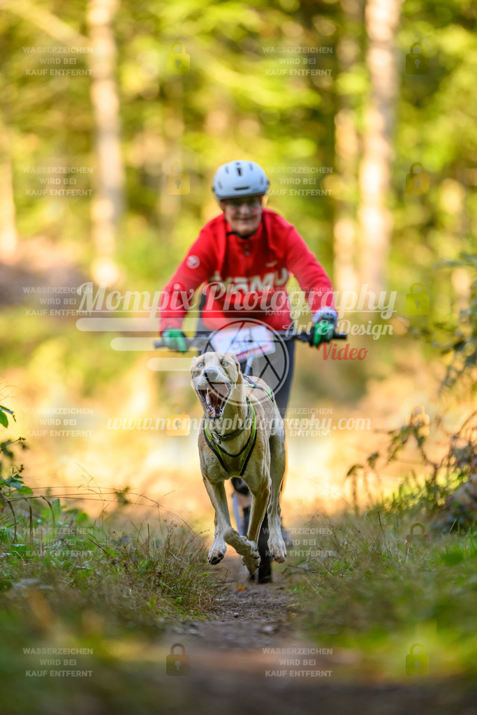 MompixPhotography_Yens2025_B3-133 | PayLife