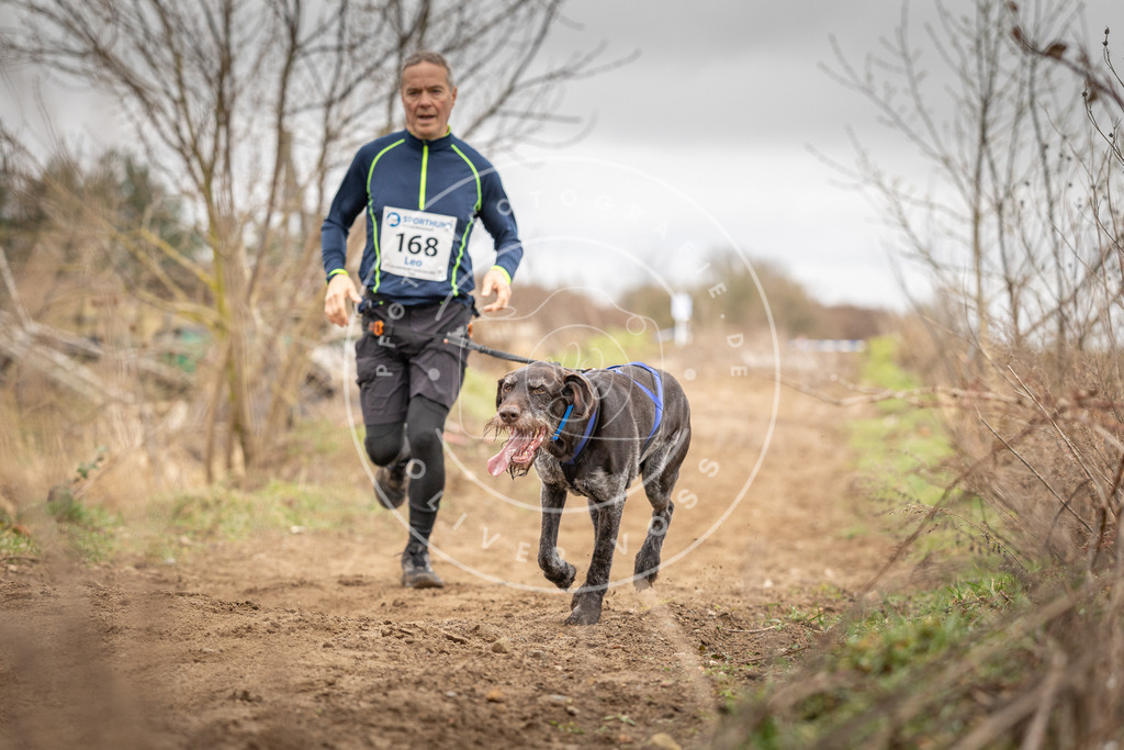 DV3A1912 | Hundefotografie, Tierfotograf, Pfotenfotografie, Fotoshooting Hund, Hunde Portrait, Hundesport, Hundeportraits, Heideshooting, Hunde, Sportfotograf, Hundefotograf, Turnierhundsport, THS,  - Realisiert mit Pictrs.com