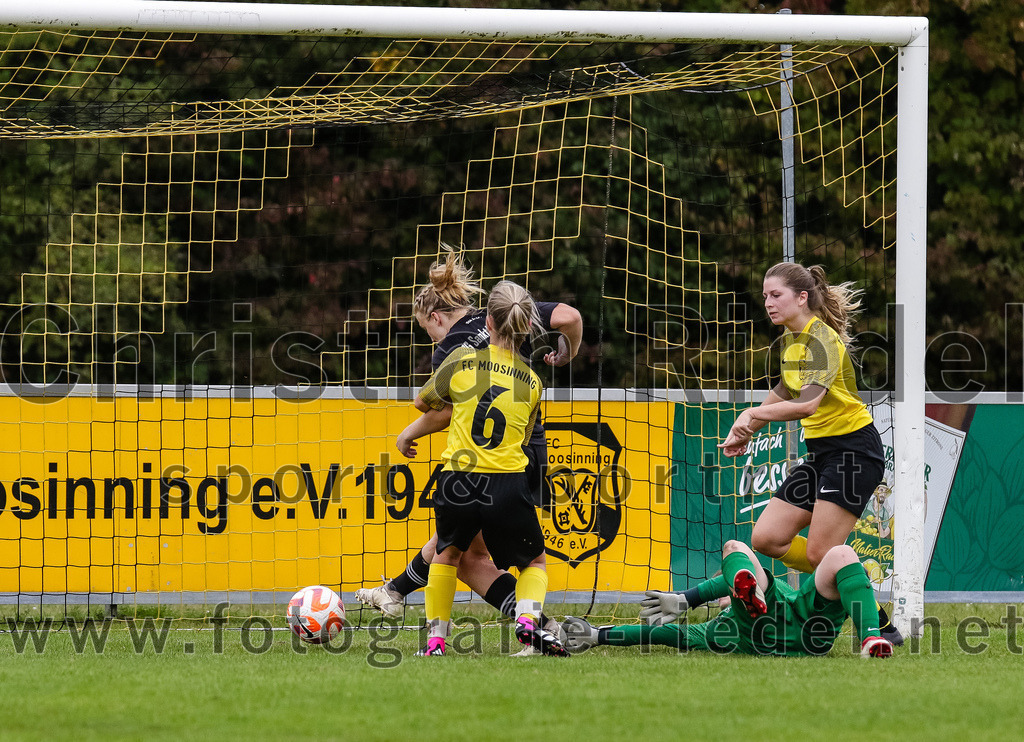 2023-10-08_096_FC_Moosinning_gegen_SG_TSV_St_Wolfgang-FC_Lengdorf | Moosinning, Deutschland, 08.10.2023:
Fußball, Kreisliga 2023 / 2024, 4. Spieltag, FC Moosinning gegen (SG) TSV St.Wolfgang/FC Lengdorf, Endergebnis: 

Tor zum 1:3 durch Anna Obermeier ((SG) TSV St.Wolfgang/FC Lengdorf, #6), Vanessa Kressirer (FC Moosinning, #6), Torfrau Desiree Brunner (FC Moosinning, #1)

Foto: Christian Riedel / fotografie-riedel.net