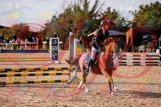 2026_10_03_Siefer-Hof_155751_Z81_77531819 | Professionelle Reitsport-, Turnier- und Eventfotografie von Robert Broda. Galerien mit ausgewählten und bearbeiteten Bildern direkt online ansehen und bestellen.