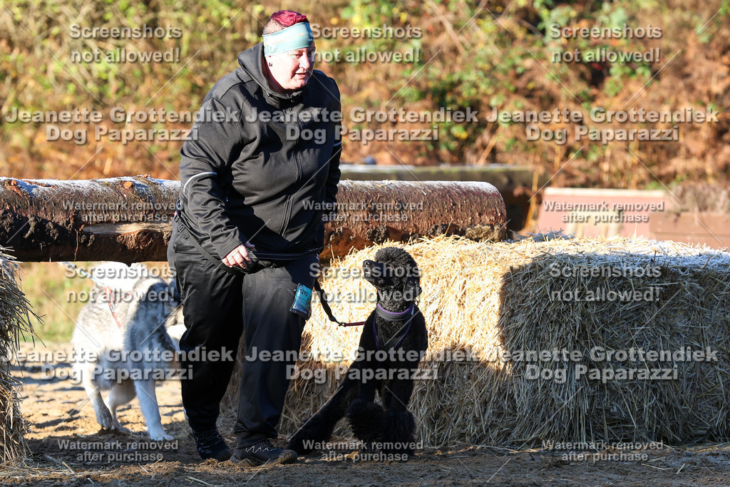 Dog Paparazzi - Strongdog 10-25-748 | Dog Paparazzi Jeanette Grottendiek Fotografie & Videografie - Realisiert mit Pictrs.com