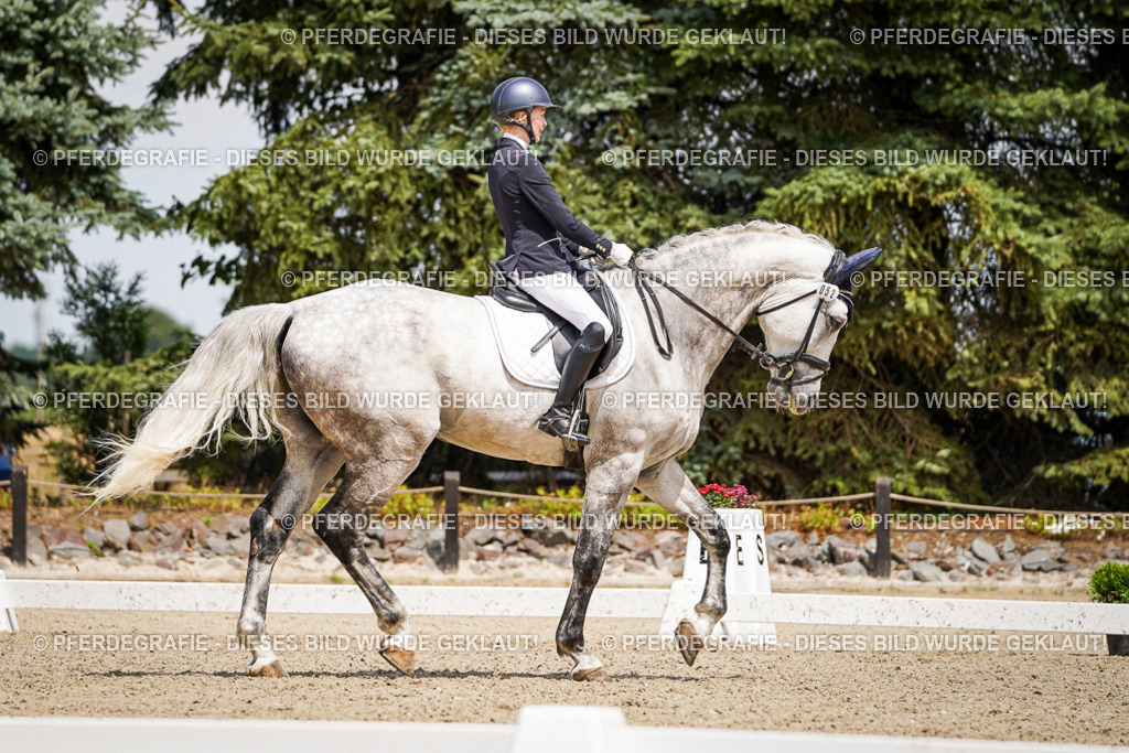 DSC02407 | Pferdegrafie