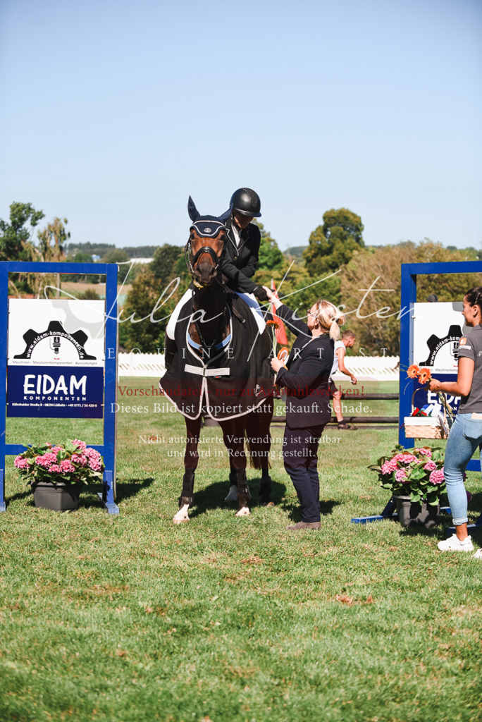 DSC_2607 | Pferde- und Turnierfotografie in Westsachsen. Pferdeportraits, Auftragszeichnungen und intuitive Kunst.