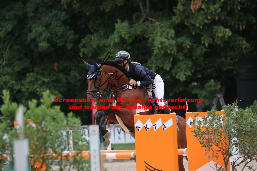 IMG_8014 | lmwpictures - Realisiert mit Pictrs.com