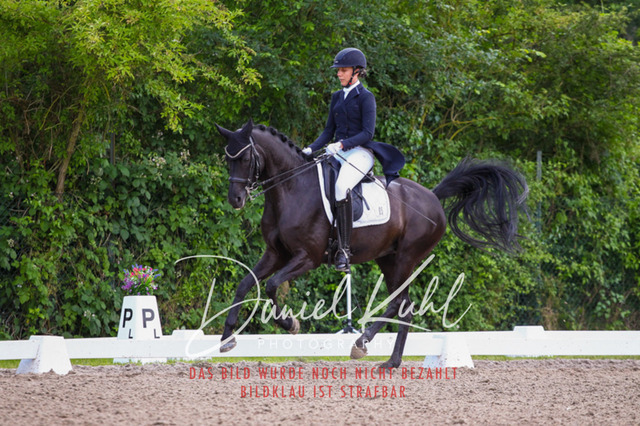 DKP41680 | Turnierfotos kaufen im Webshop von Daniel Kuhl Photography – entdecke professionelle Reitsportfotos aus Turnieren & Events. Hochwertige Turnierbilder online bestellen & sichern. Jetzt Fotos von Reitsportturnieren kaufen!