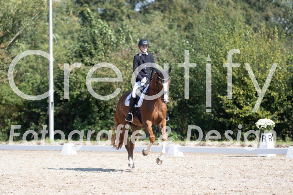 IMG_4395 | Creatify Fotografie