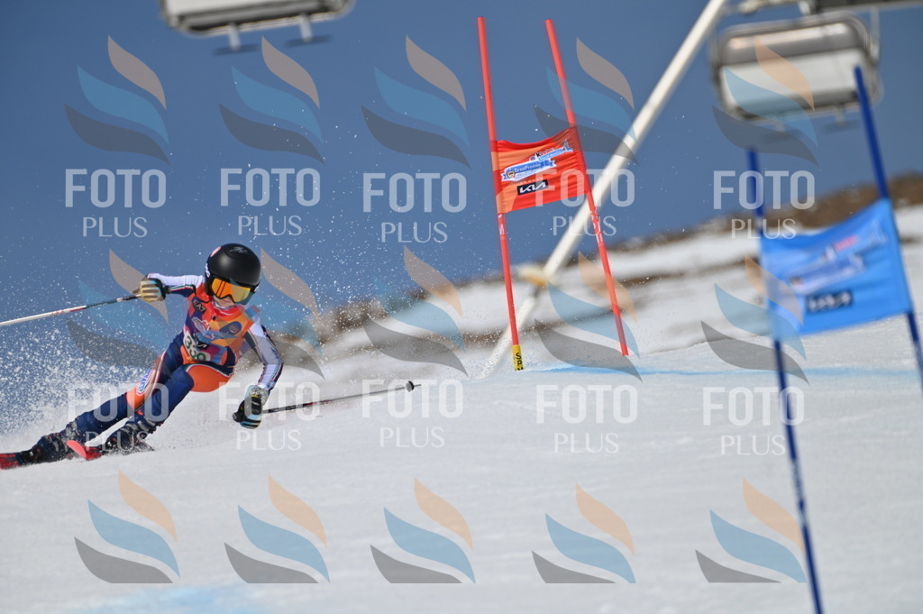 BGV_6709 | holidayphoto