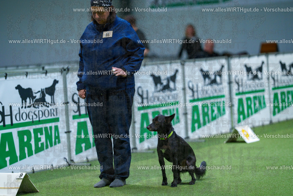 7R505991 | Professionelle Tierfotografie in Mönchengladbach von Daniel Wirth (allesWIRTHgut). Liebevolle & natürliche Bilder von Hunden & Katzen für unvergessliche Erinnerungen.