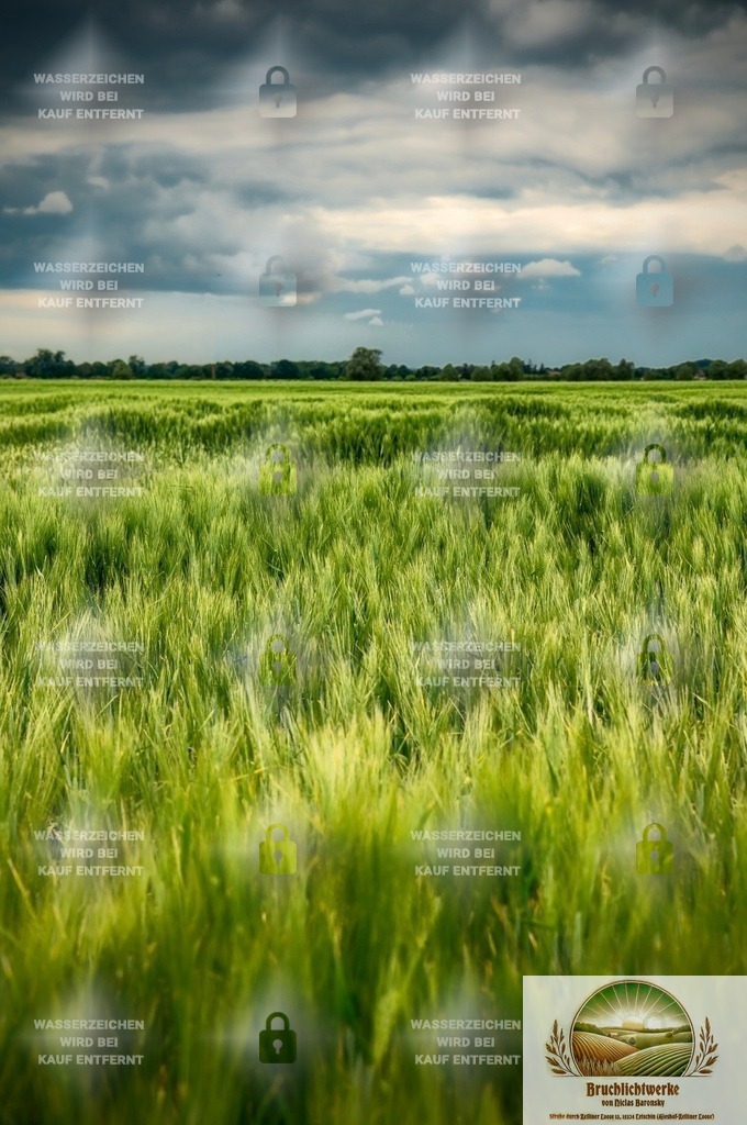 Feldbruch | Landschaftsfotografie aus dem Oderbruch: Fine-Art-Prints im Shop, Fotoworkshops und ausgewählte Hochzeiten in Märkisch-Oderland & Oder-Spree.