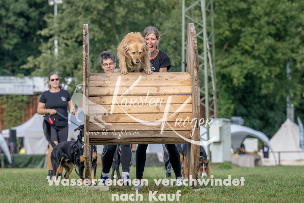 1026_ZZ92196 | kk-dogfotos