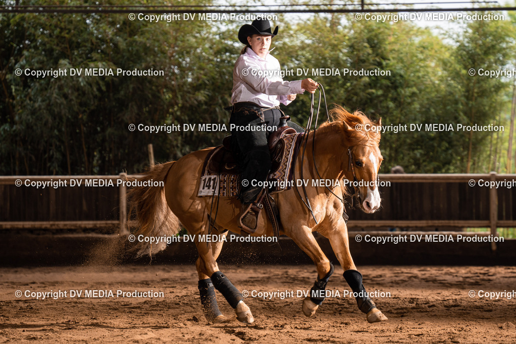 Erbach Tag 2-767 | dv-media-shop - Realisiert mit Pictrs.com