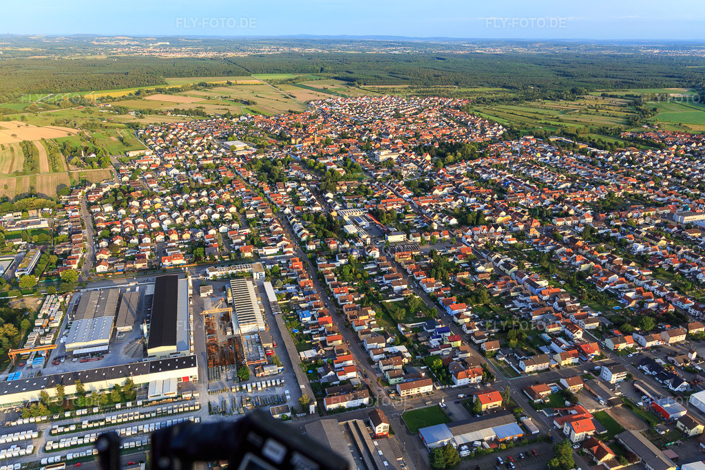 Luftbild: Kolpingstr im Ortsteil Oberhausen in Oberhausen-Rheinhausen im Bundesland Baden-Württemberg in Deutschland. Foto: IMG_102499.jpg vom 24.08.2017 durch Werner Riehm/FLY-FOTO.de